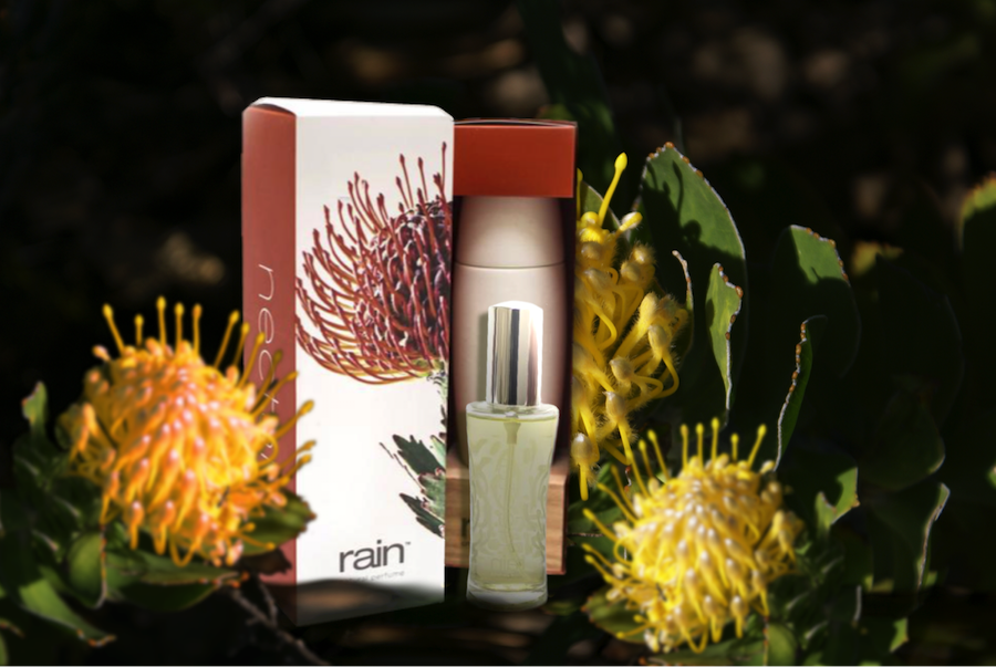 Product image by M. Bijman